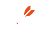 Dartwerk-Saar